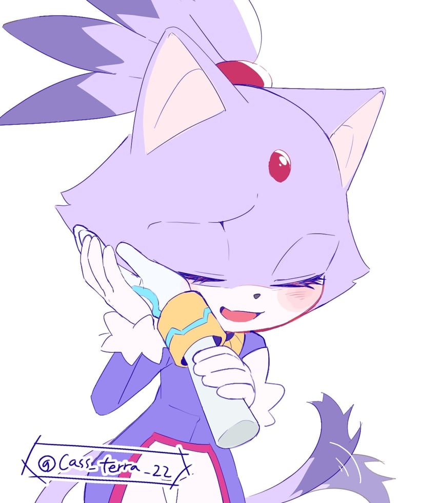 blaze the cat and silver the hedgehog (sonic) drawn by cass_terra_22