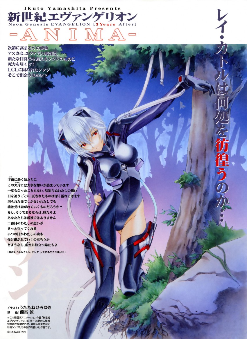 ayanami rei and rei quatre (neon genesis evangelion and 1 more) drawn by ramiya_ryou and utatane_hiroyuki