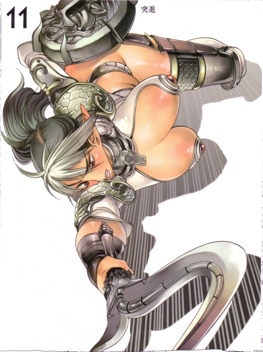 echidna and veteran mercenary echidna (queen's blade) drawn by f.s.