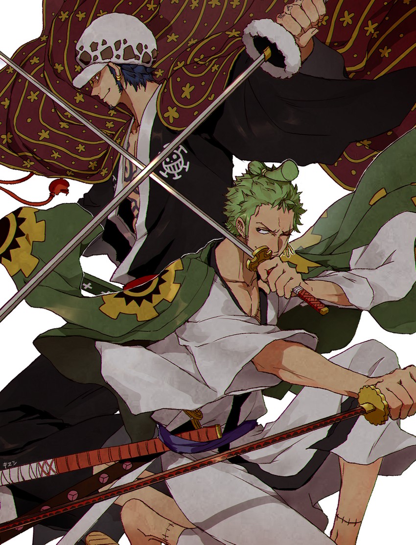 roronoa zoro and trafalgar law (one piece) drawn by akazu_kieshi