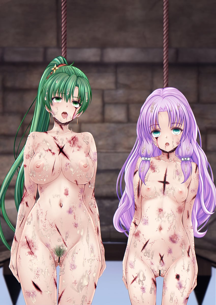 lyn and florina (fire emblem and 1 more) drawn by not_a_chan