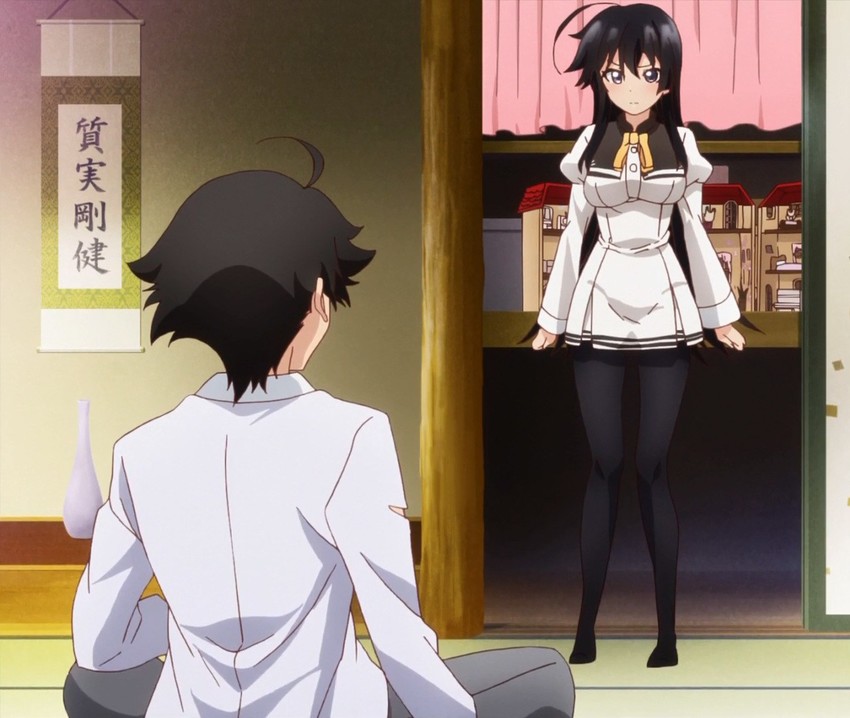 jinryou karen and kagurazaka kimito (ore ga ojou-sama gakkou ni "shomin sample" toshite rachirareta ken)