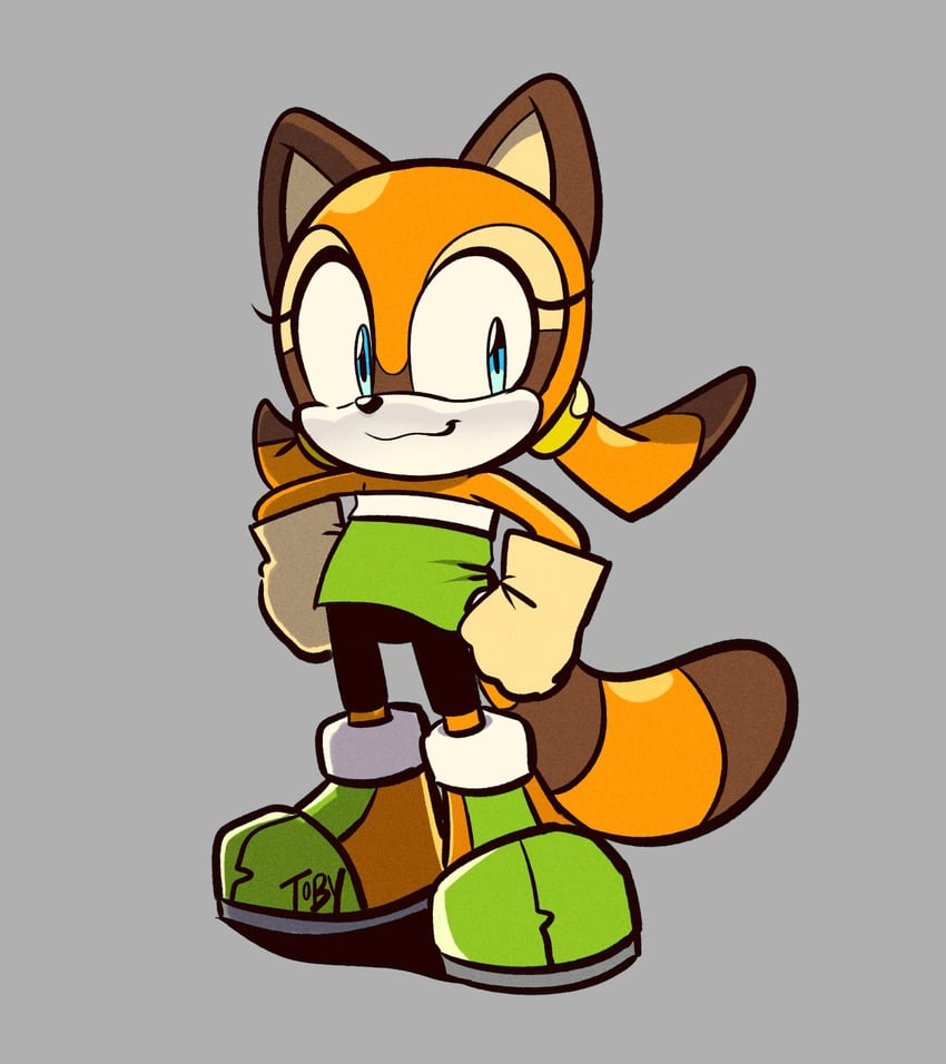 marine the raccoon (sonic and 1 more) drawn by toby_s.