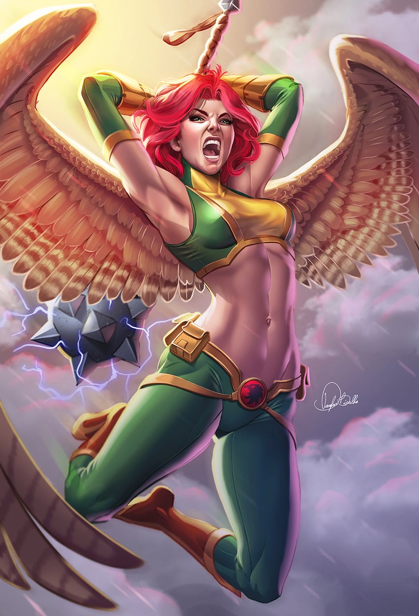 hawkgirl and shayera hol (dc comics) drawn by douglas_bicalho