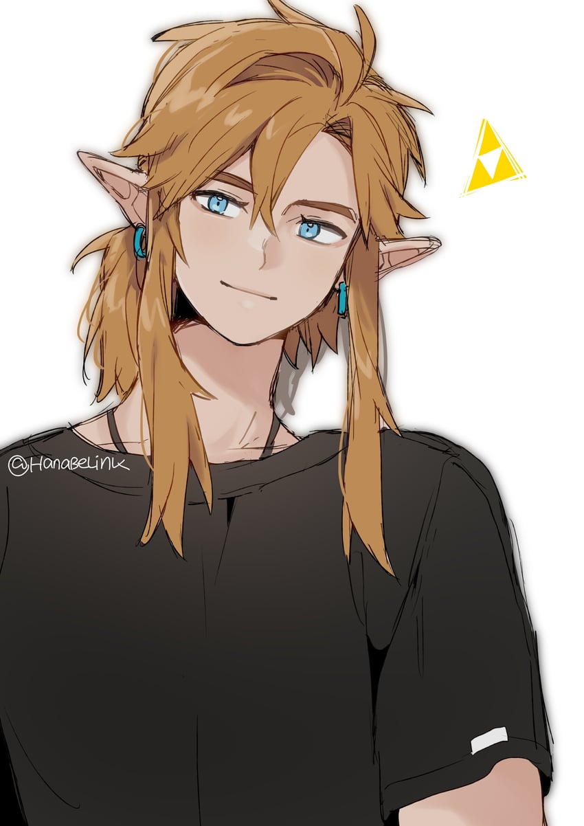 link (the legend of zelda and 2 more) drawn by hanaberin