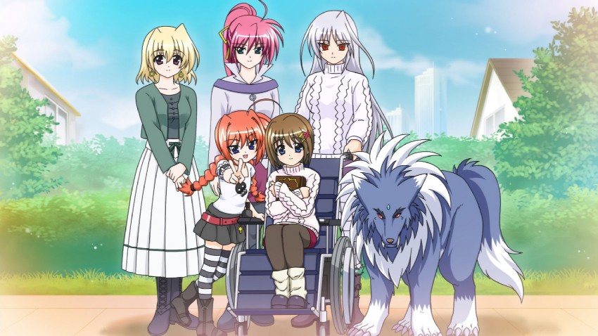 yagami hayate, vita, signum, reinforce, shamal, and 2 more (lyrical nanoha and 3 more)