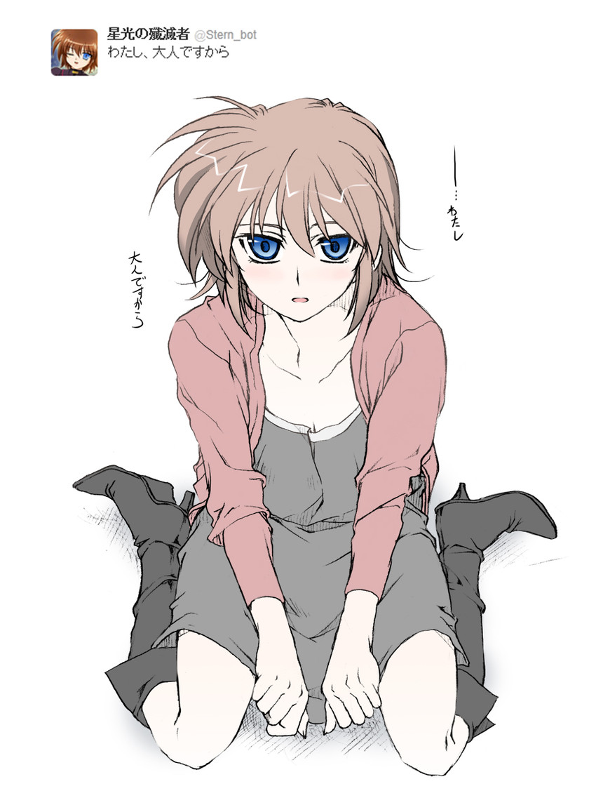 stern the destructor (lyrical nanoha and 4 more) drawn by elf_(stroll_in_the_woods)