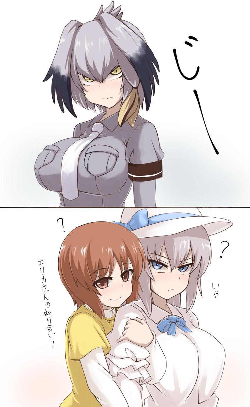 nishizumi miho, itsumi erika, and shoebill (girls und panzer and 1 more) drawn by shanaharuhi