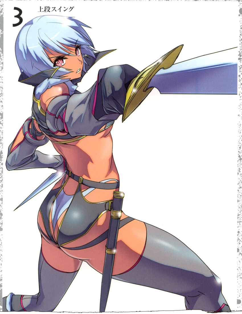 irma and fang assassin irma (queen's blade) drawn by akaga_hirotaka