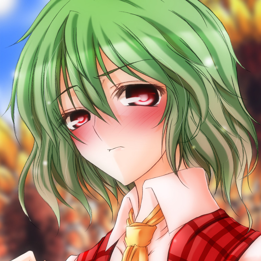 kazami yuuka (touhou) drawn by hazuki_kasane