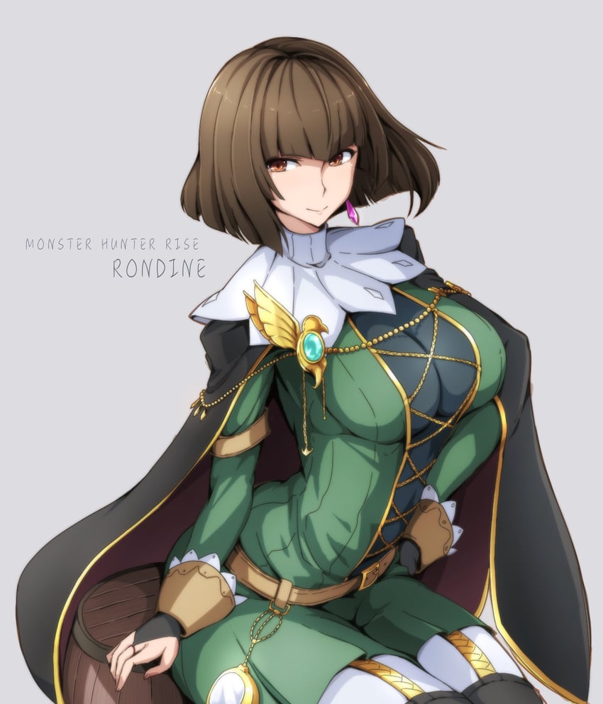 rondine (monster hunter and 1 more) drawn by runaru