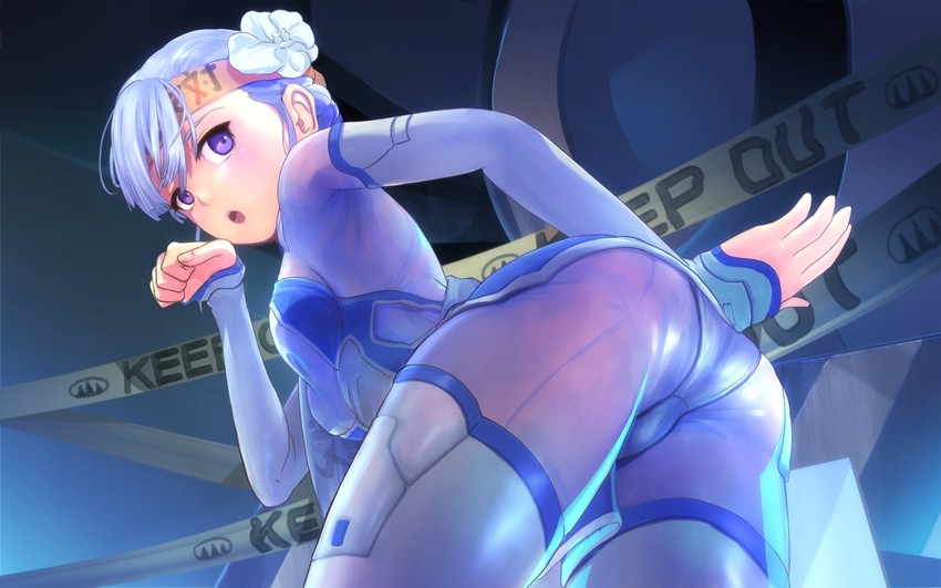 fin e ld si laffinty (rinne no lagrange) drawn by pakupaku_choppu