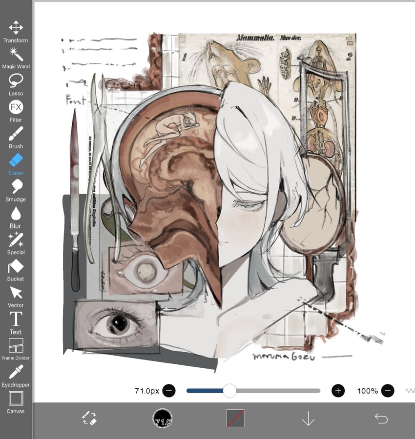 faust (project moon and 1 more) drawn by maruma_gozu