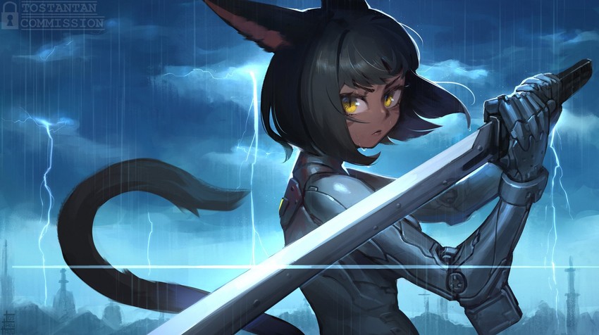warrior of light (final fantasy and 1 more) drawn by tostantan