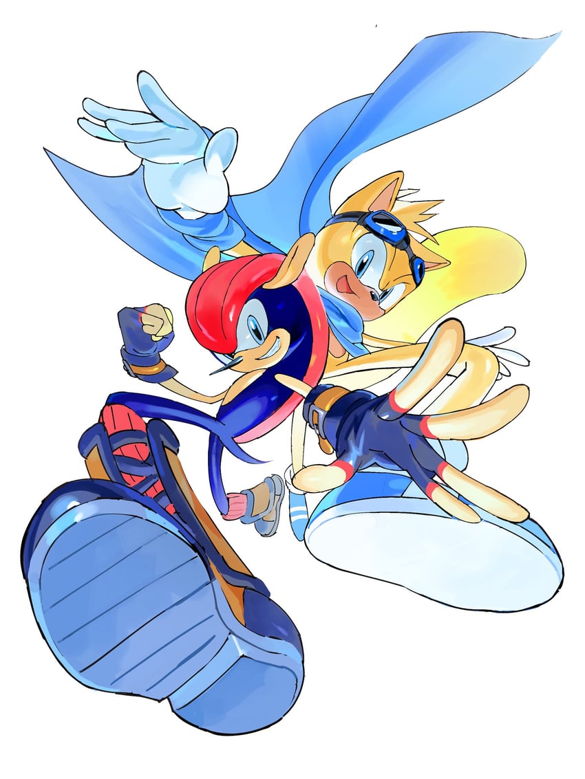 mighty the armadillo and ray the flying squirrel (sonic) drawn by tokiwa757