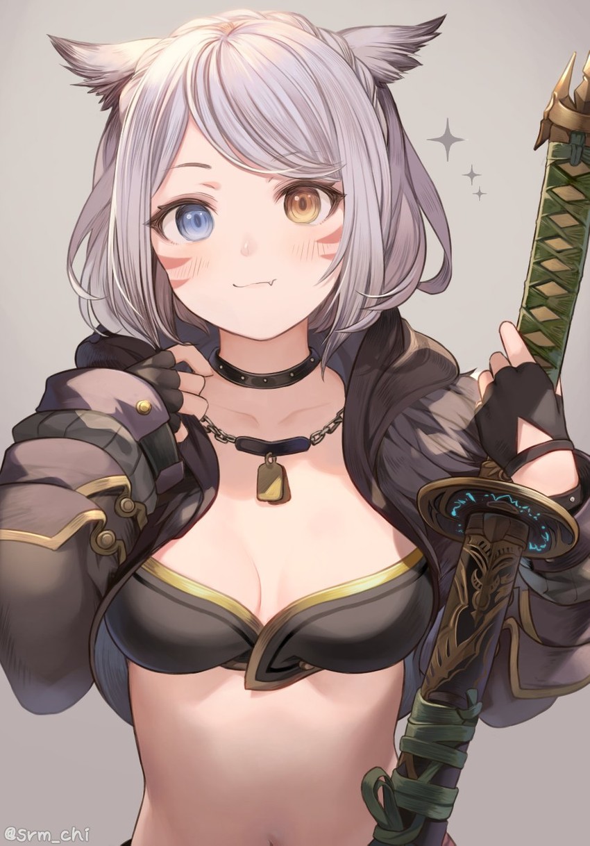warrior of light (final fantasy and 1 more) drawn by srm_chi