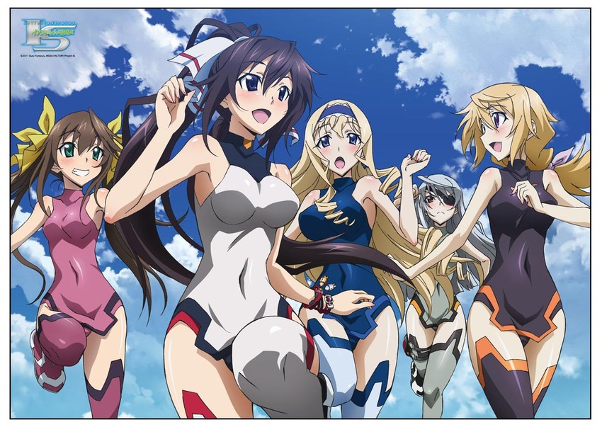 charlotte dunois, cecilia alcott, laura bodewig, shinonono houki, and huang lingyin (infinite stratos)