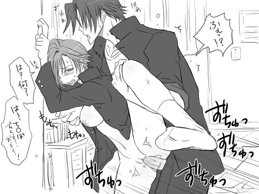 igarashi kyou and hasumi souji (seitenkango. shinyuu to) drawn by eroe