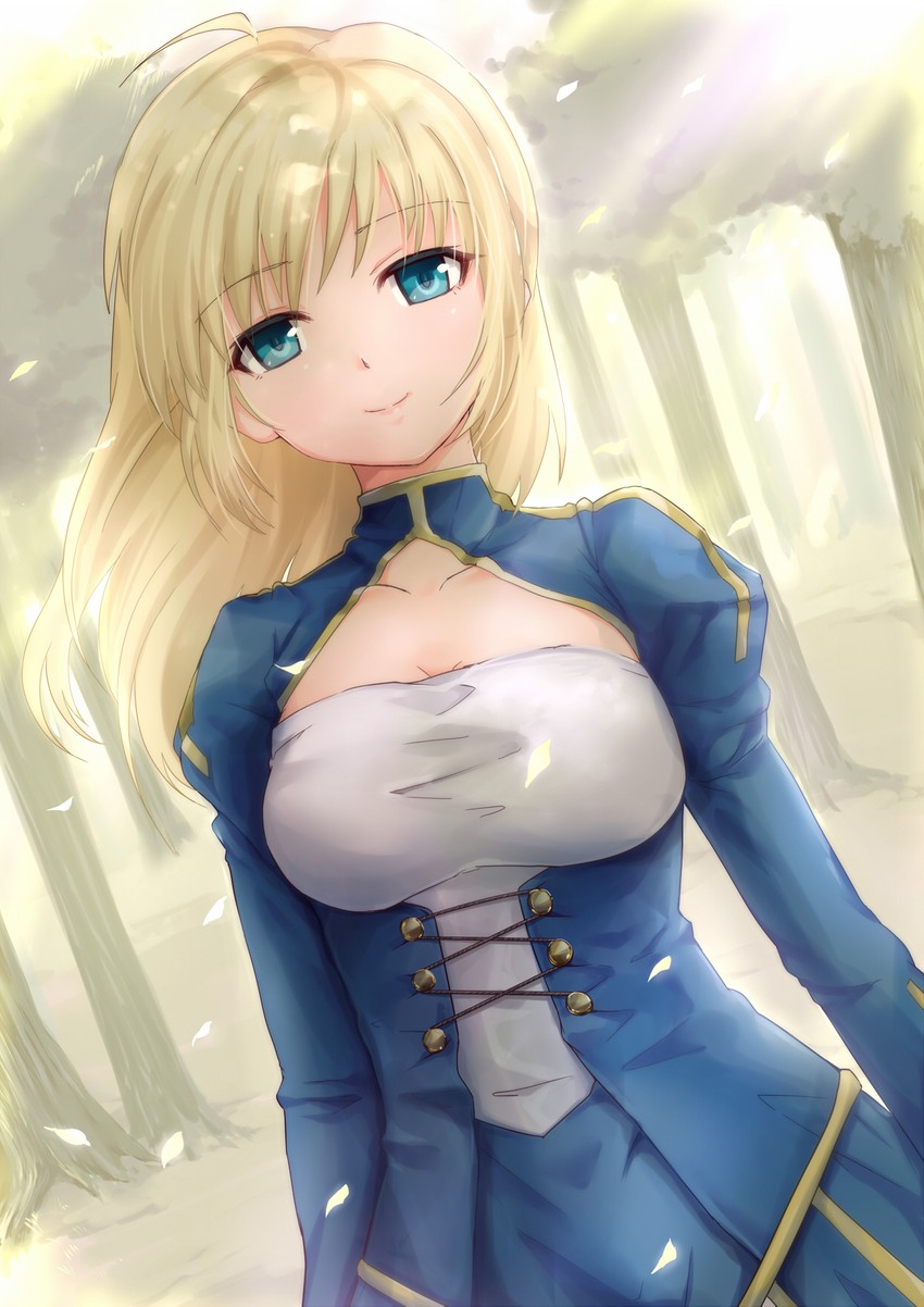 artoria pendragon and saber (fate and 1 more) drawn by bikinibikinibikini