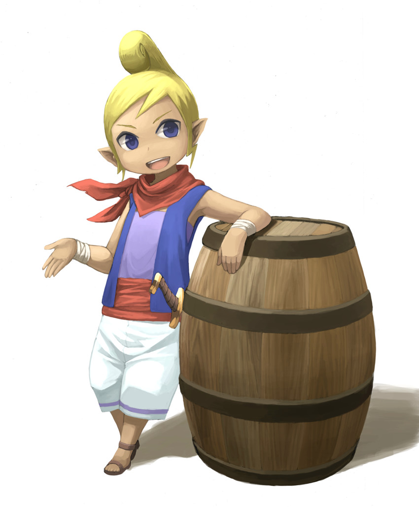 tetra (the legend of zelda and 1 more) drawn by nishimura_(prism_engine)