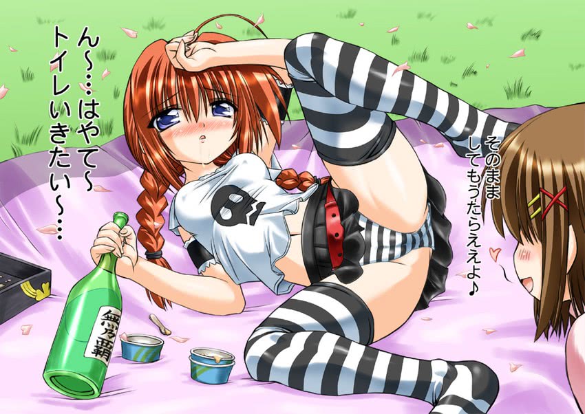 yagami hayate and vita (lyrical nanoha and 2 more) drawn by marui