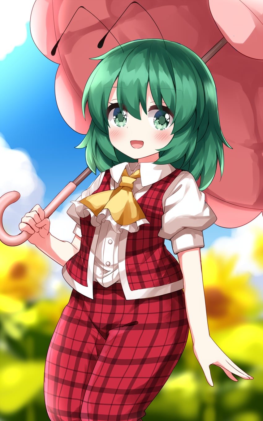 kazami yuuka and wriggle nightbug (touhou) drawn by ruu_(tksymkw)