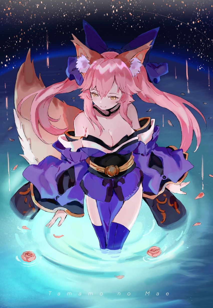 tamamo and tamamo no mae (fate and 1 more) drawn by mochii