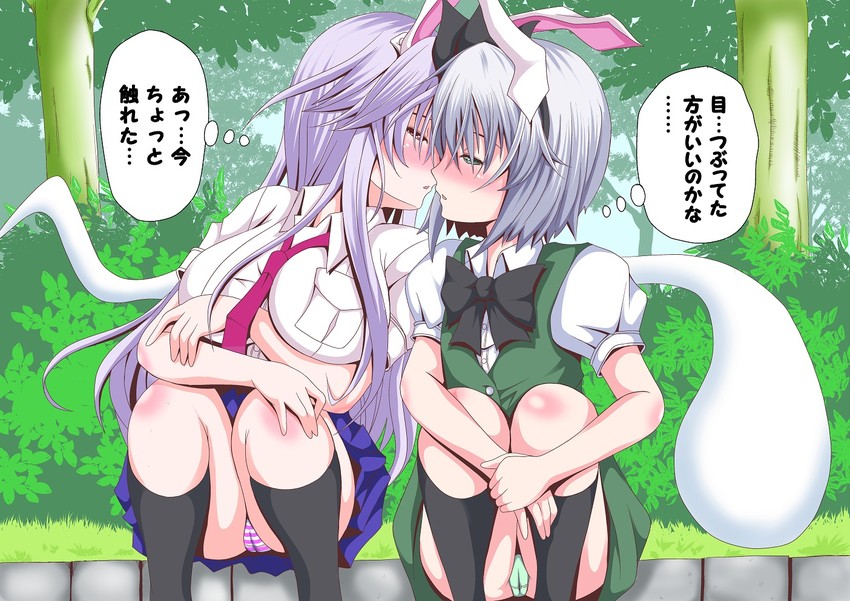 konpaku youmu and reisen udongein inaba (touhou) drawn by tad_s