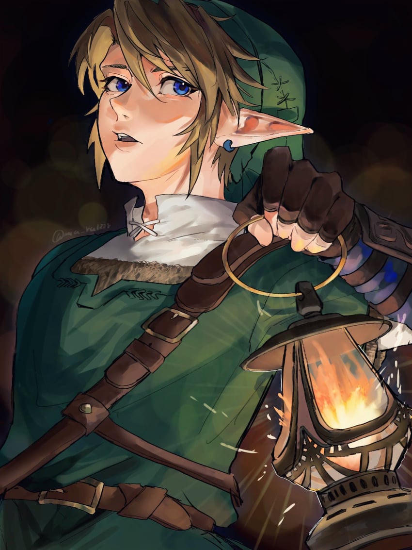 link (the legend of zelda and 1 more) drawn by mia_ru1228