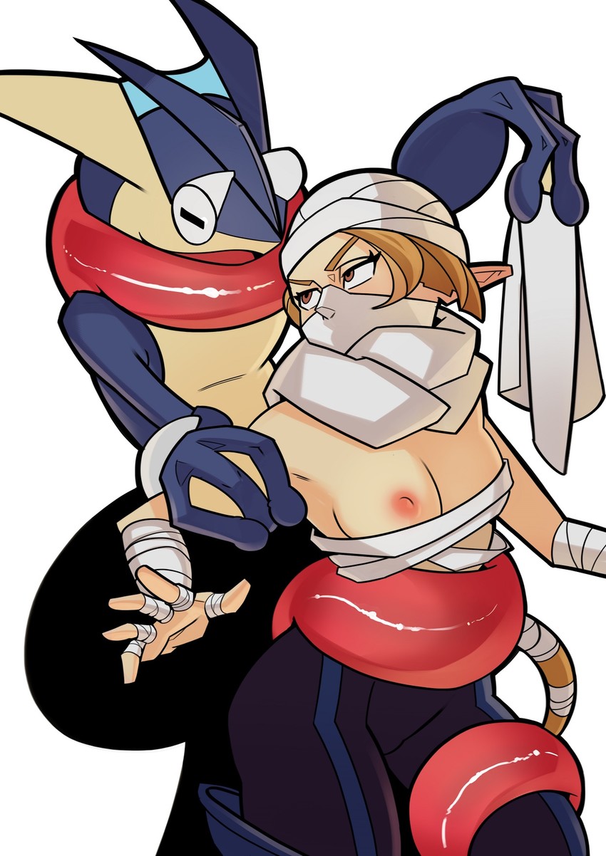 greninja and sheik (pokemon and 3 more) drawn by splashbrush
