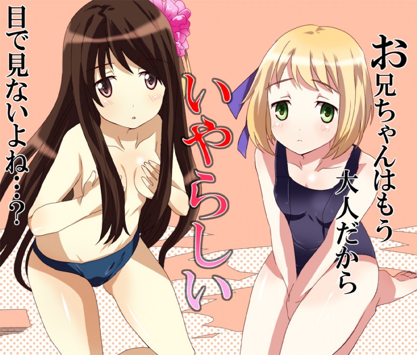 taiwan and liechtenstein (monogatari and 2 more) drawn by chiha