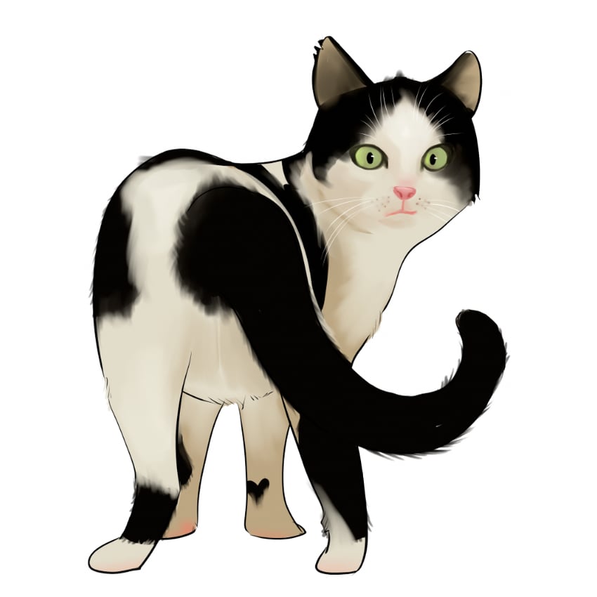 original drawn by nelson_(user_nktt2224)