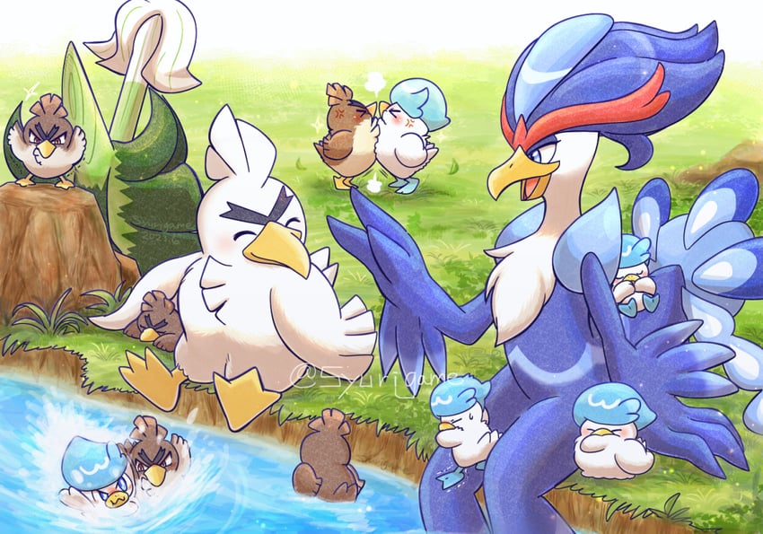 quaxly, farfetch'd, quaquaval, and galarian farfetch'd (pokemon) drawn by shuri_(syurigame)