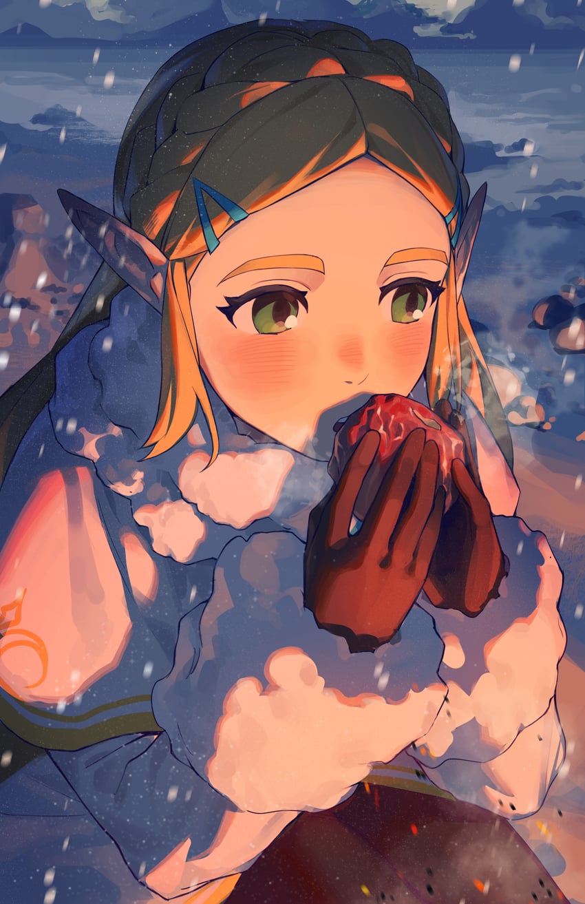princess zelda (the legend of zelda and 1 more) drawn by airseal