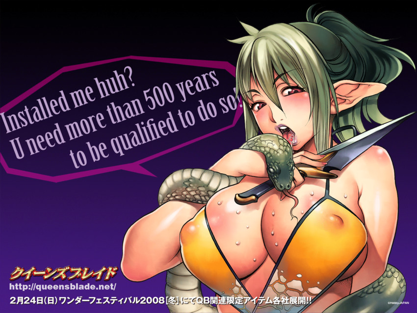 echidna, veteran mercenary echidna, and keltan (queen's blade) drawn by f.s.
