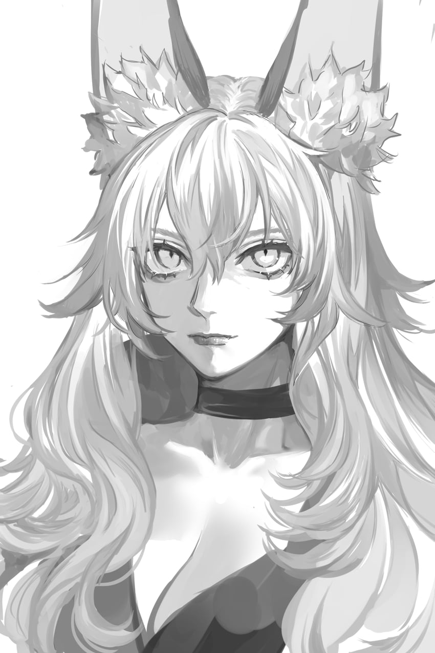 tamamo and tamamo no mae (fate and 2 more) drawn by nipi27