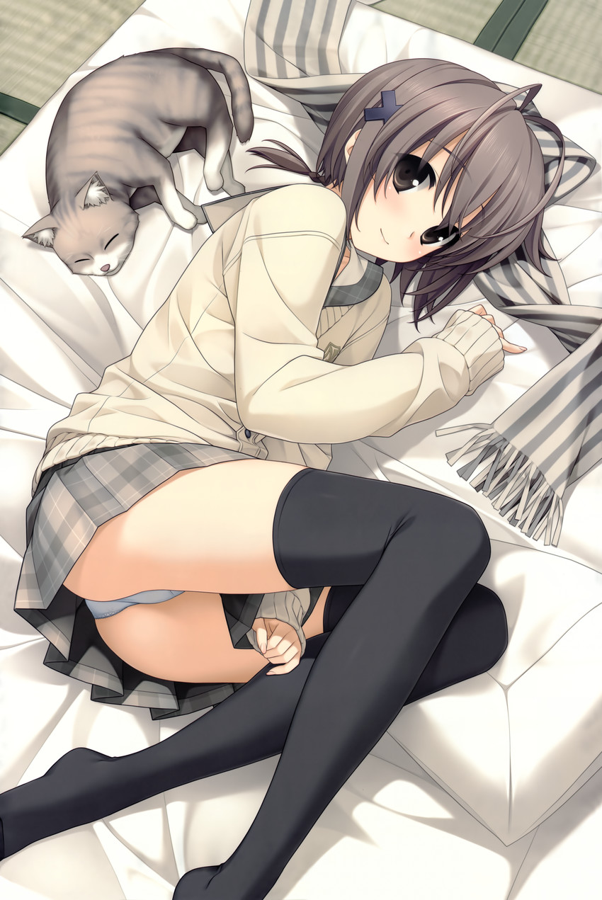 amatsume akira (yosuga no sora) drawn by hashimoto_takashi
