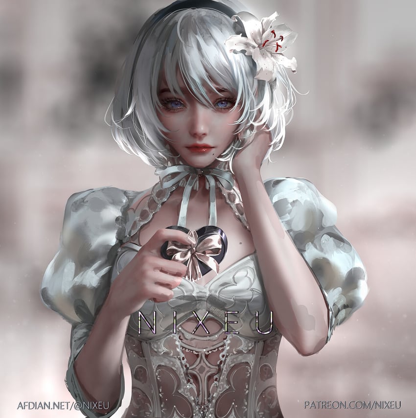 2b (nier and 1 more) drawn by nixeu