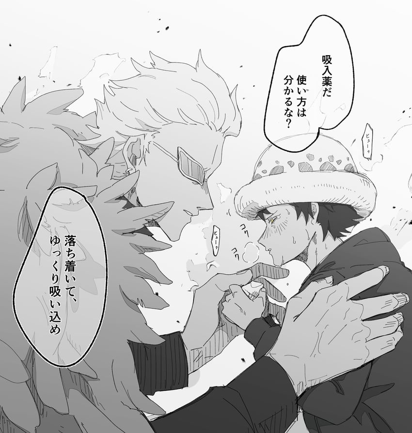 trafalgar law and donquixote doflamingo (one piece) drawn by k84612
