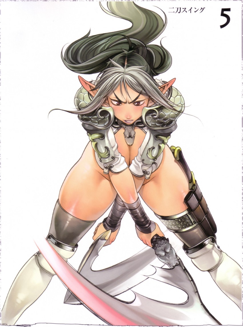 echidna and veteran mercenary echidna (queen's blade) drawn by f.s.