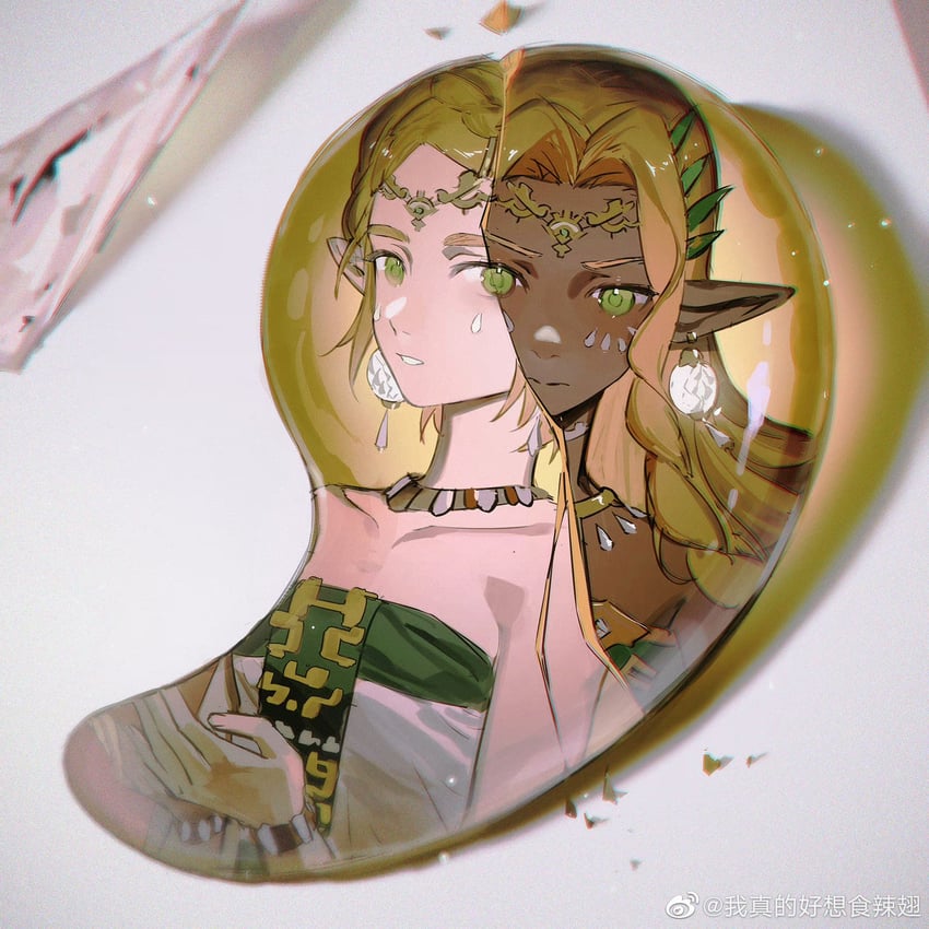 princess zelda and sonia (the legend of zelda and 1 more) drawn by akihare