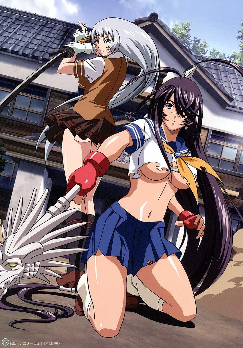 kan'u unchou and chouun shiryuu (ikkitousen and 1 more) drawn by itou_yuuki