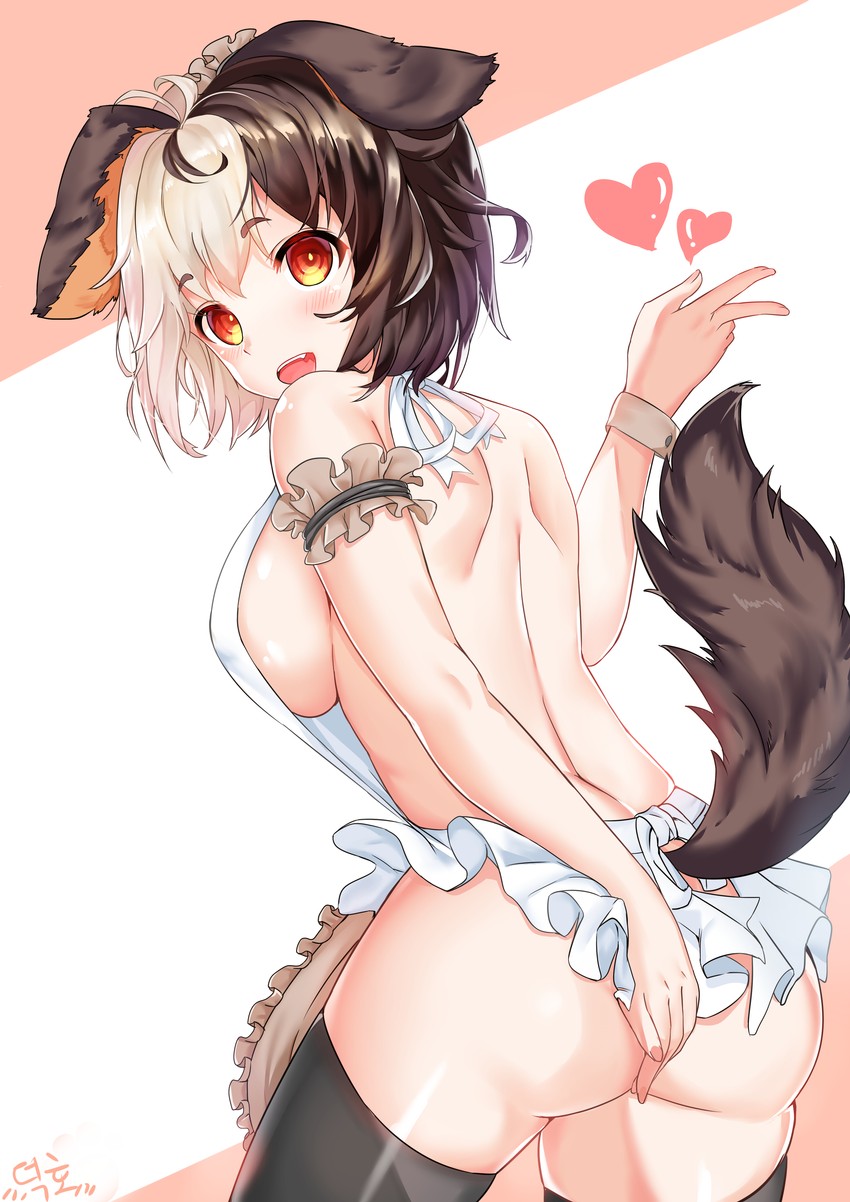 hachiko of castling (last origin) drawn by deogho_(liujinzy9854)