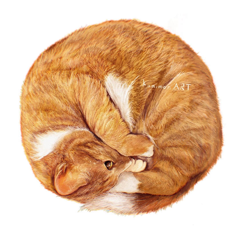 original drawn by kamimon2016