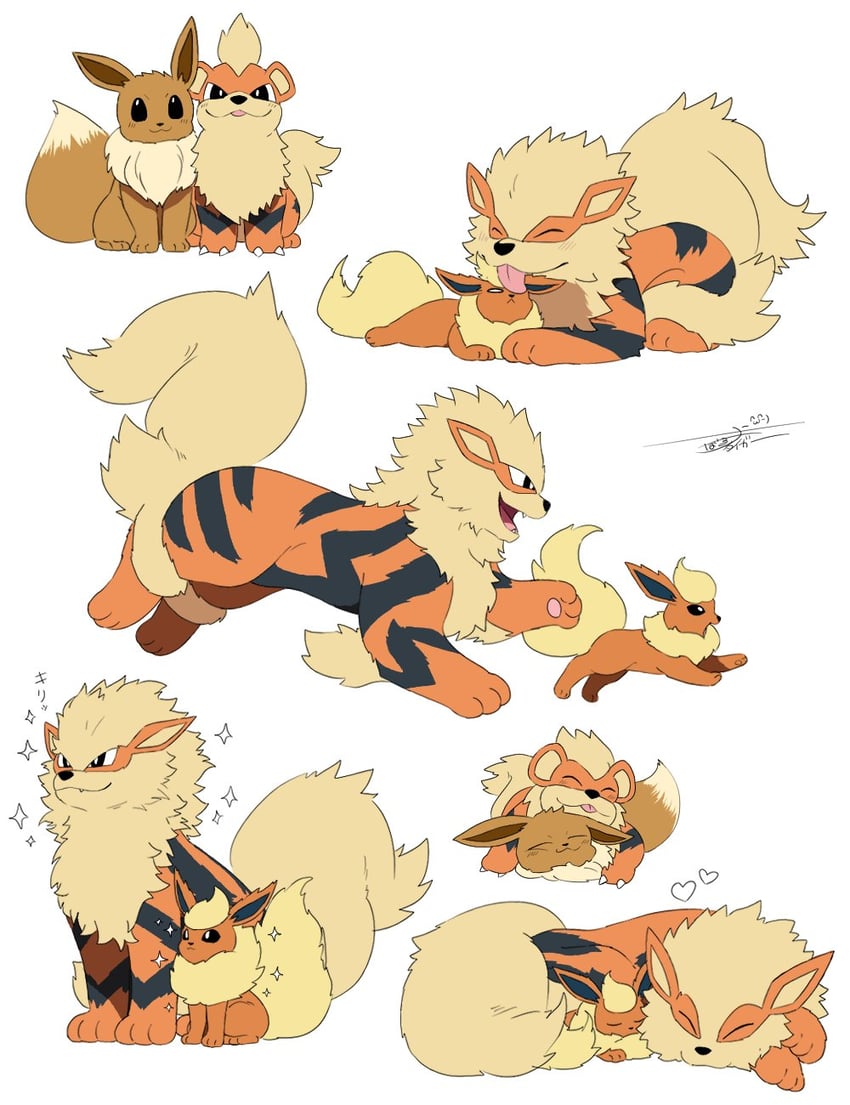 eevee, flareon, arcanine, and growlithe (pokemon) drawn by tiger_subaru