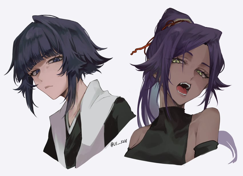 shihouin yoruichi and sui-feng (bleach and 1 more) drawn by ui_1231
