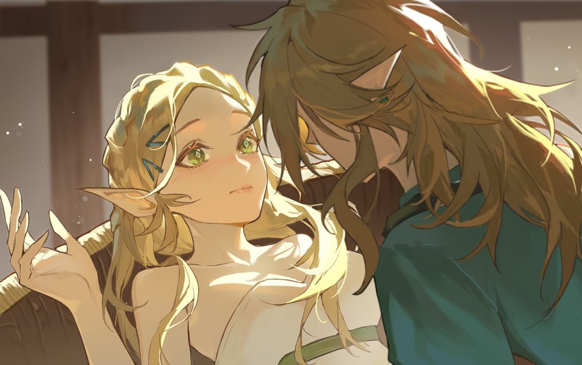 link and princess zelda (the legend of zelda and 1 more) drawn by dabaijiang_memeda