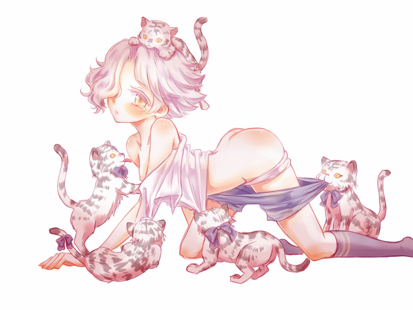 gokotai and gokotai's tigers (touken ranbu) drawn by garuko