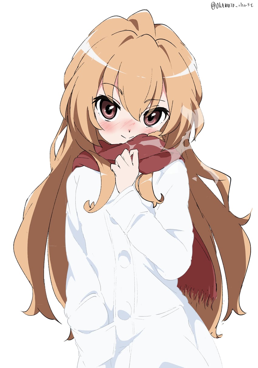 aisaka taiga (toradora!) drawn by white_gorilla_(okamoto)