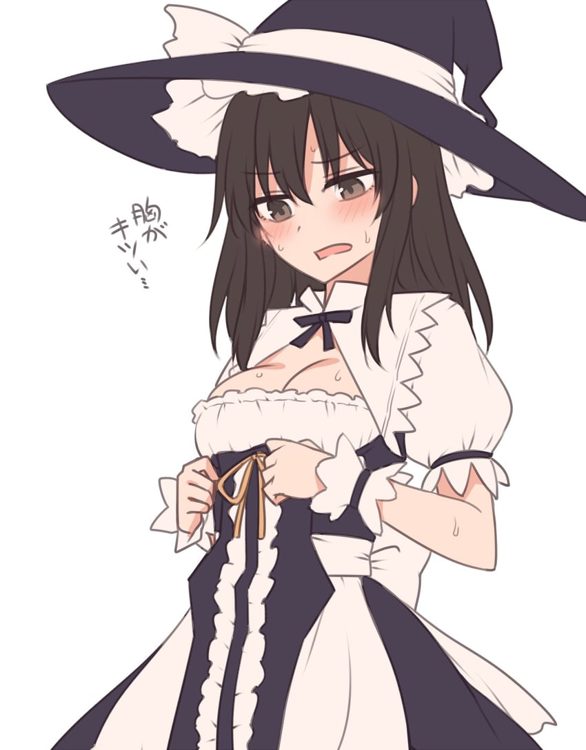 hakurei reimu and kirisame marisa (touhou and 1 more) drawn by miyo_(ranthath)